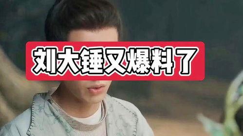 刘大锤爆料刘姓艺人视频 第1张 刘大锤爆料刘姓艺人视频 第1张